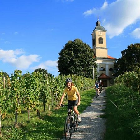 Gasthof Wagner Restaurant-Pension Halbenrain Экстерьер фото