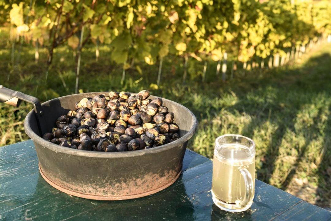 Gasthof Wagner Restaurant-Pension Halbenrain Экстерьер фото